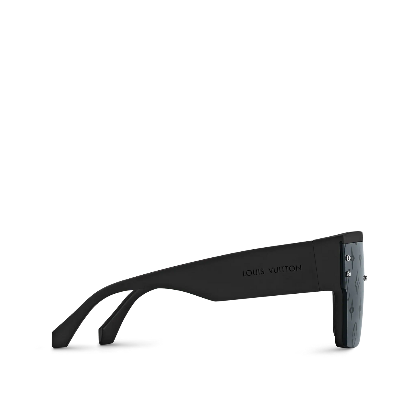 Lunettes de soleil Waimea L